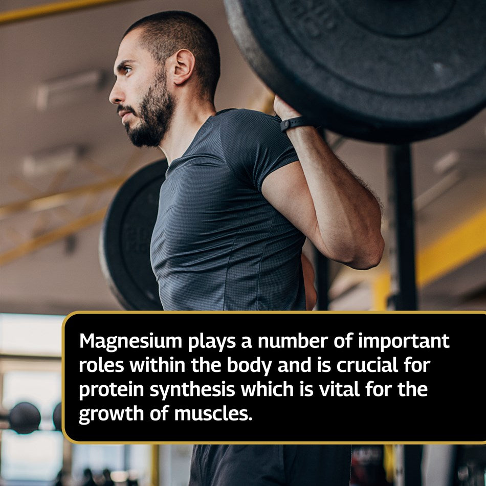 Magnesium Plus (120 Tablets)